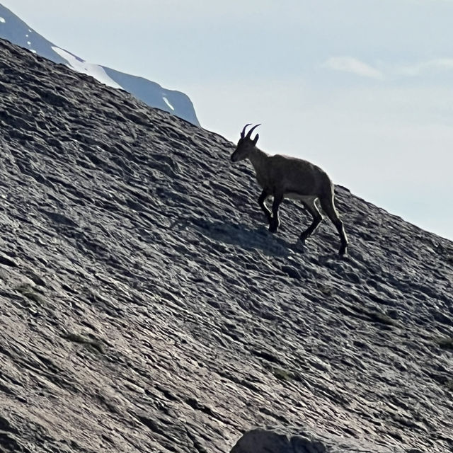 Mont-Blanc Hiking 