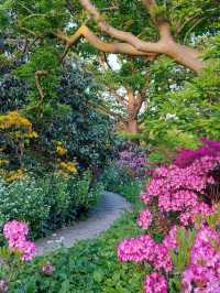 🌳 Hanover: Where Royal Gardens Meet Modern Rhythm 