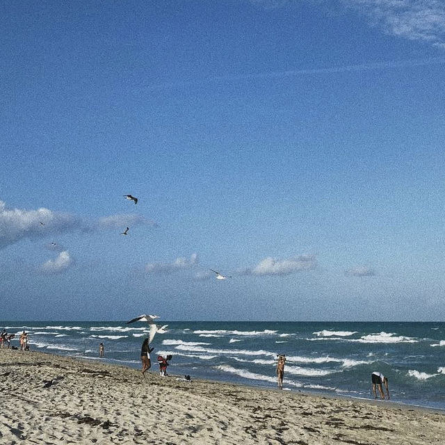 Ocean Breeze & Summer Tease — Miami Style🌊☀️