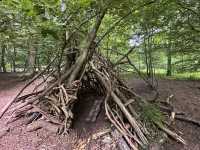 Art sculptures lost in a forest