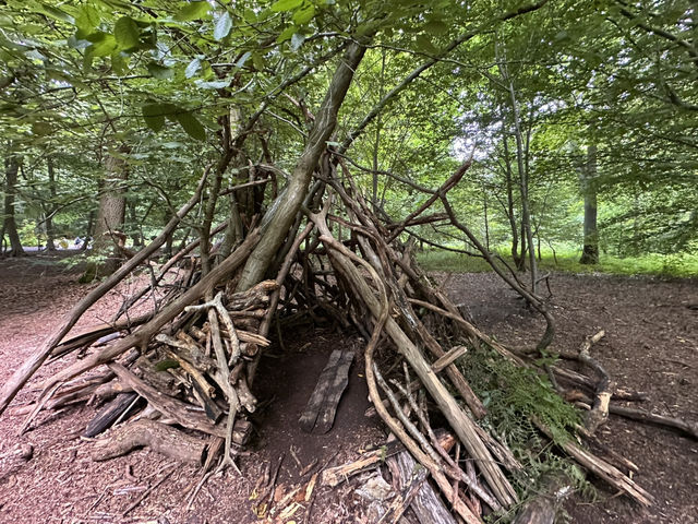 Art sculptures lost in a forest