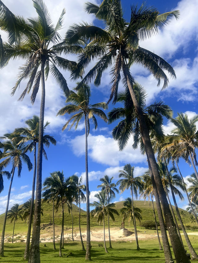 Explore Rapa Nui aka Easter Island within 4 days  Explore Rapa Nui aka Easter Island within 4 days