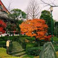 Tokyo: A City of Endless Discovery