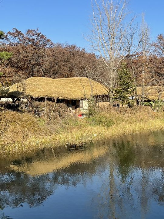 Autumn Suwon Vibes🍂