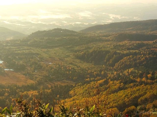【群馬県】日本国道最高地点碑から見た絶景紅葉の渋峠