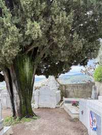 Art Village Vibes🎨