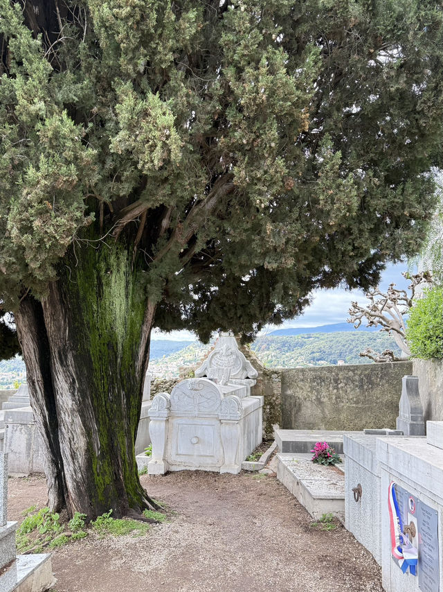 Art Village Vibes🎨