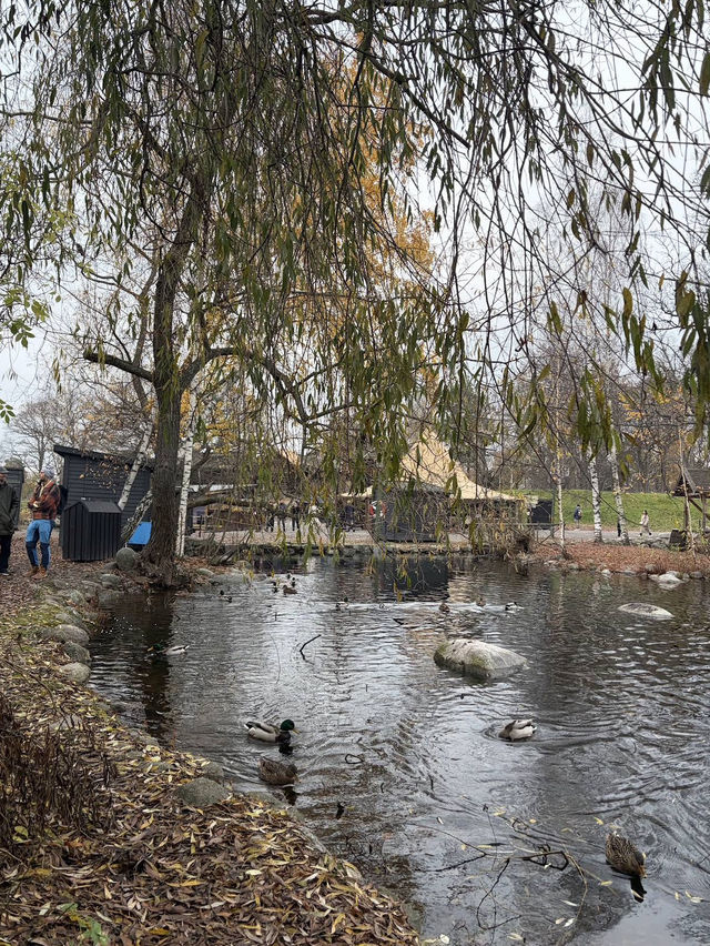 🍁 Autumn at Skansen – A Living Tapestry of Nordic Nature 🌿🧡 🍁 Autumn at Skansen – A Living Tapestry of Nordic Nature 🌿🧡