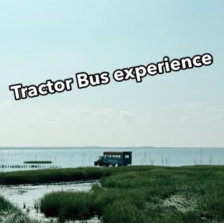 Tractor Bus Adventure to Denmark’s Enchanted Island
