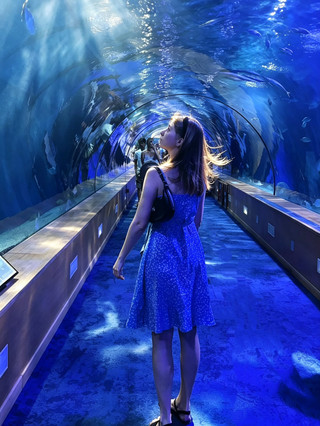 🛒 Souvenir Guide: What NOT to Buy at the Oceanogràfic ❌