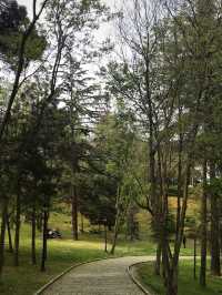 From High-End Shopping Boulevard to Seaside Greenery: Bağdat Avenue & Fenerbahçe