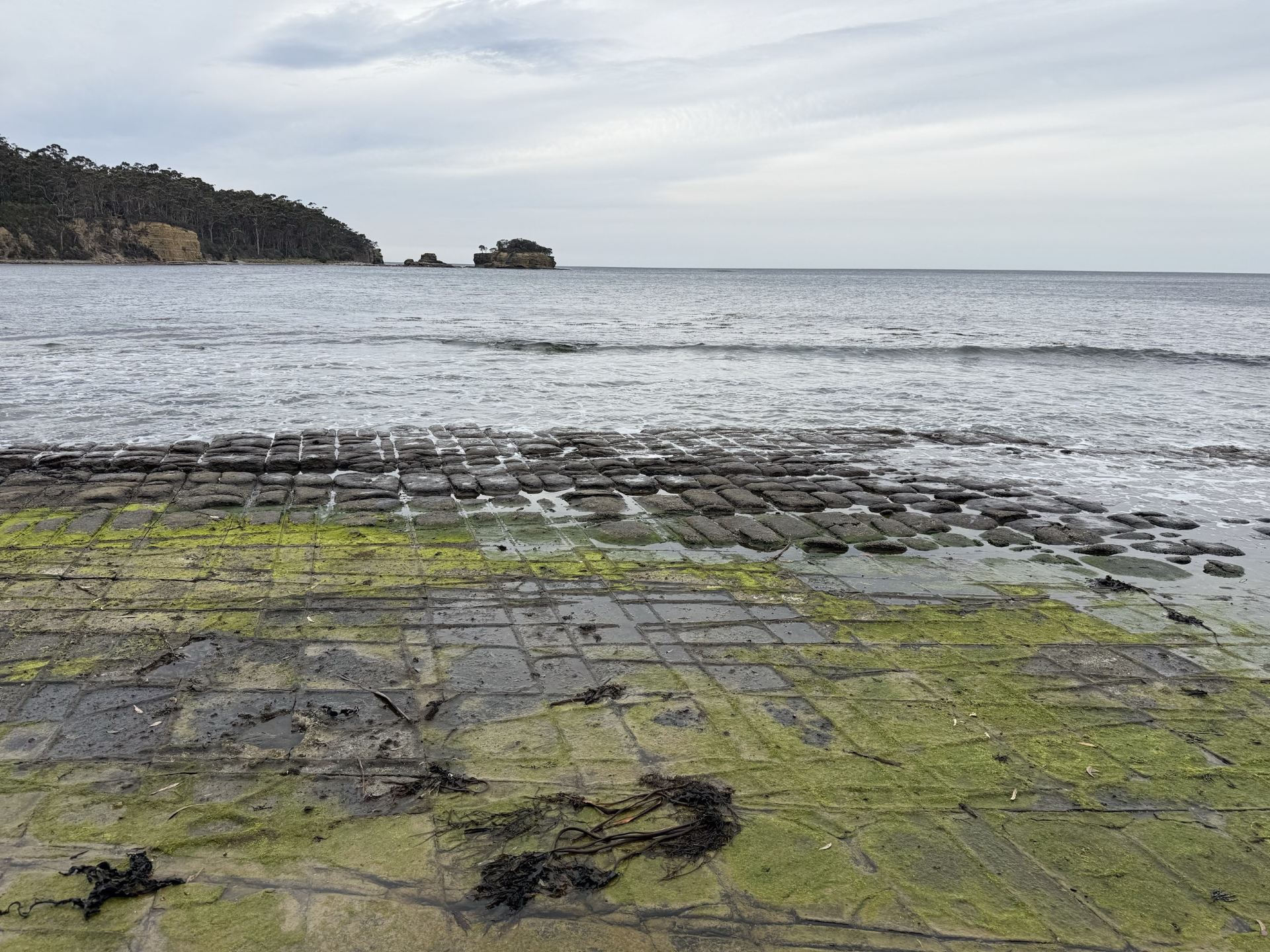 The trip was very well-organized and well-paced, offering a perfect balance of Tasmania's stunning natural beauty and its rich history and culture.