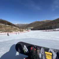 Amazing Experience at Dolomiti