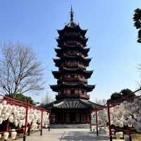 【中国・蘇州】蘇州古城の西南に位置する盤門