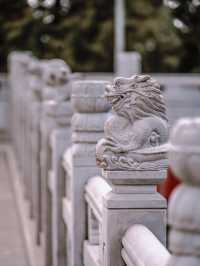 這還是我認識的那個盤龍寺嗎？