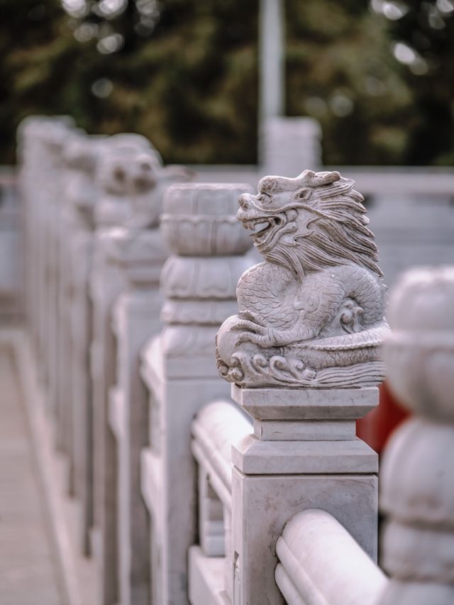 這還是我認識的那個盤龍寺嗎？