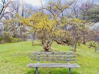 Early spring at the Royal Botanical Gardens in Canada.