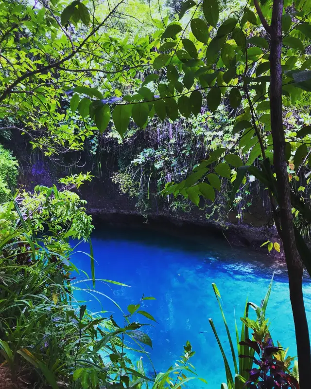 Enchanted River Escapade: Embracing the Journey's Reward 👌🏼💦