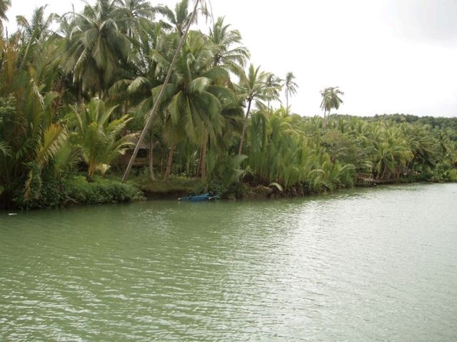 A MUST Cruise Along Loboc River! 🇵🇭