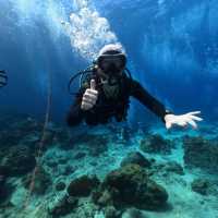 Down in the deep blue sea, my first Scuba