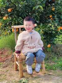 成都周邊1h，新開的橘子主題樂園