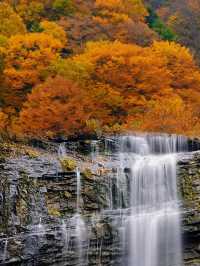 ●陝西黎坪國家森林公園！被光霧山掩蓋的紅葉秘境