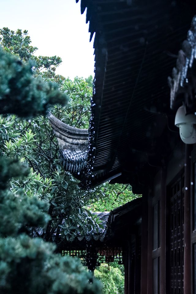 看不夠的江南雨|雨天慢遊常熟曾趙園宛若走進了詩畫裡 看不夠的江南雨|雨天慢遊常熟曾趙園宛若走進了詩畫裡