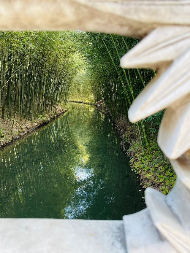 北京紫竹院公園深秋美的像一幅畫