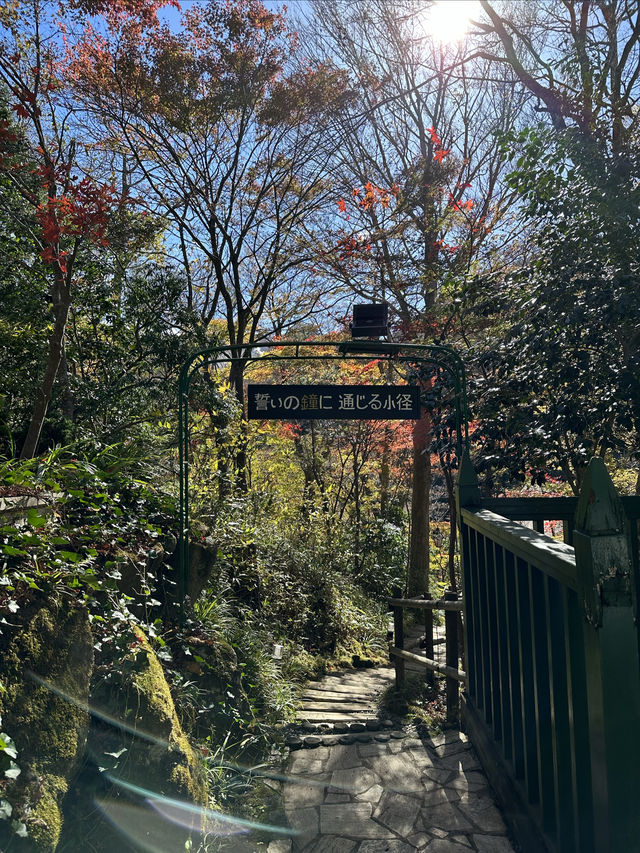 箱根玻璃之森美術館，這裡真的像一個童話世界