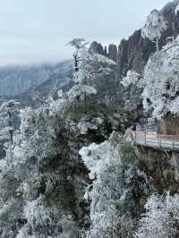 湖南郴州｜廣州2h可以看雪景的地方