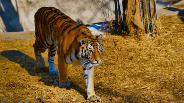 北京動物園