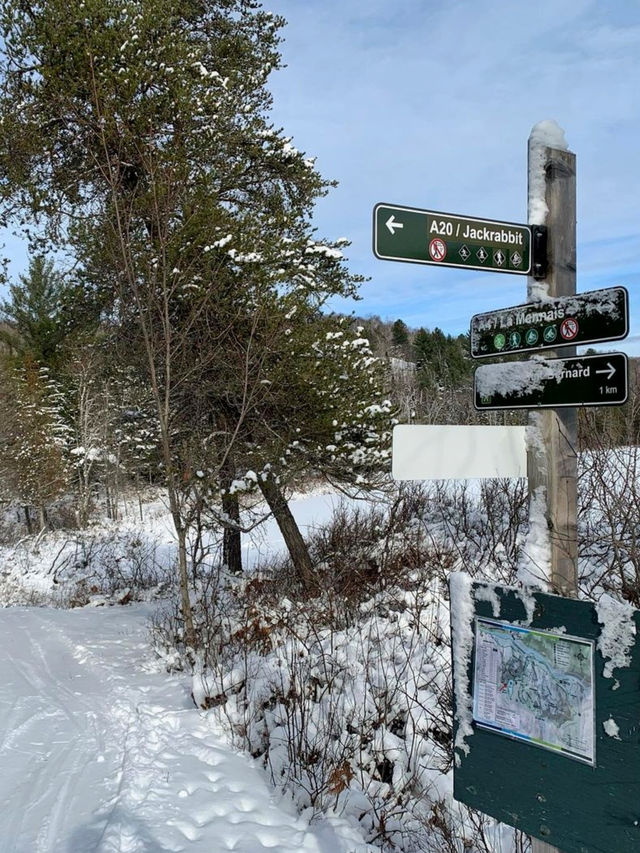 特朗布朗度假村：聞名遐邇的滑雪勝地