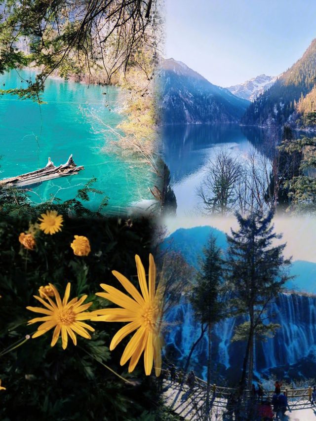 12-2月旅遊季｜6個最適合去的溫暖城市