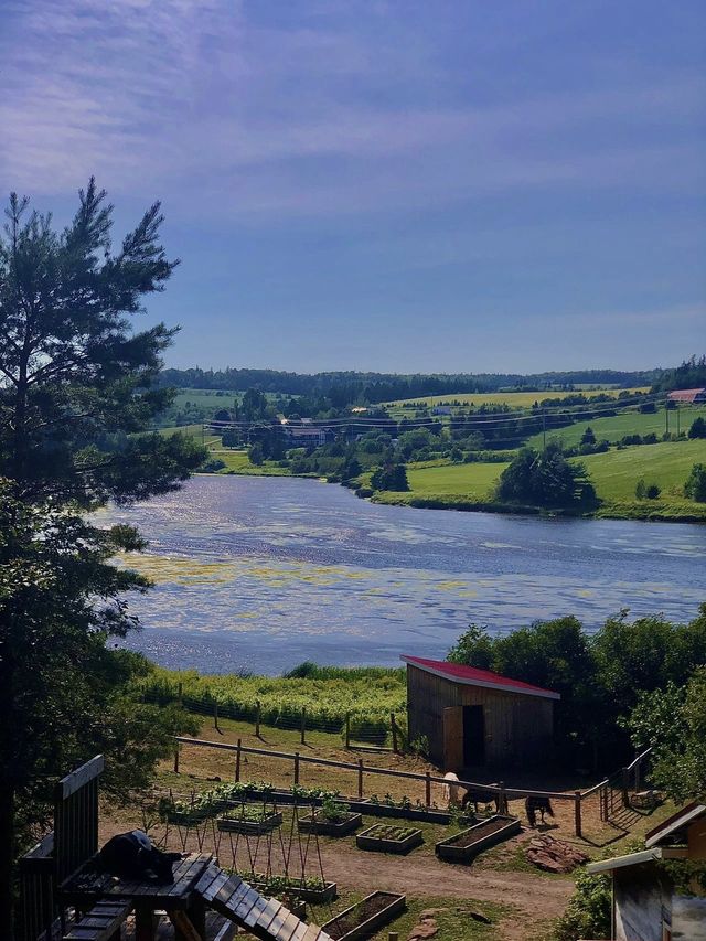 愛德華王子島 Newglasgow