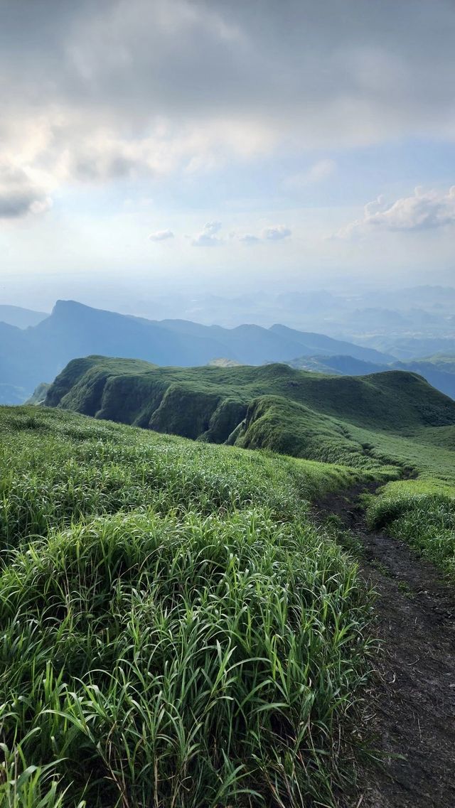 山不來見我 我自會去見山