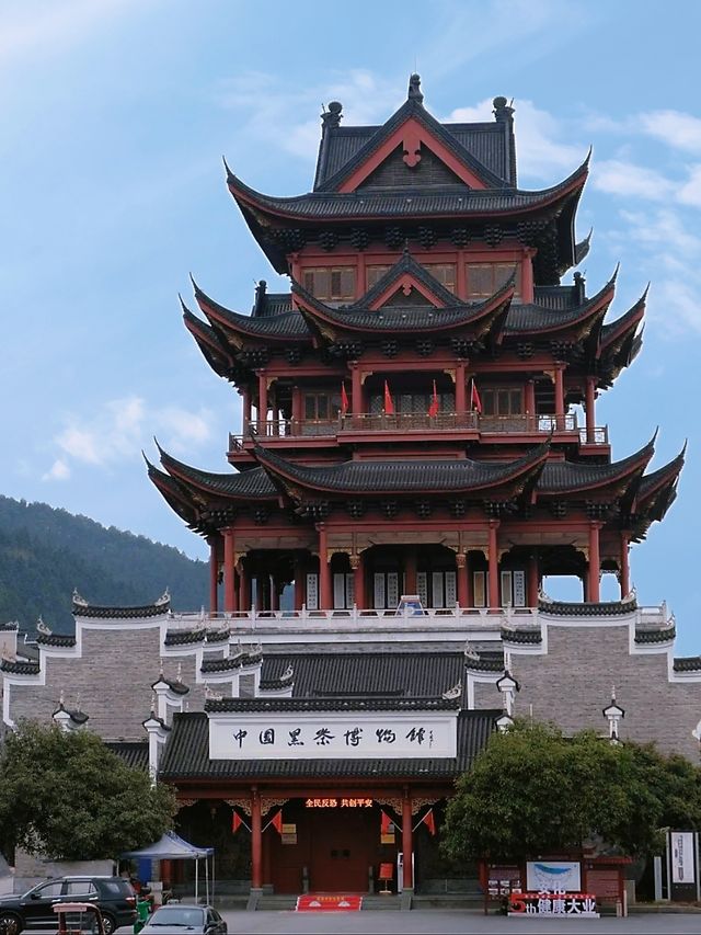 安化中國黑茶博物館，探尋黑茶文化！