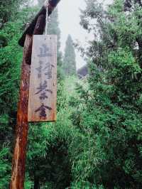 洛陽白馬寺