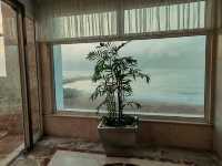 魅惑海景有毒，埃及亞歷山大濱海希爾頓酒店