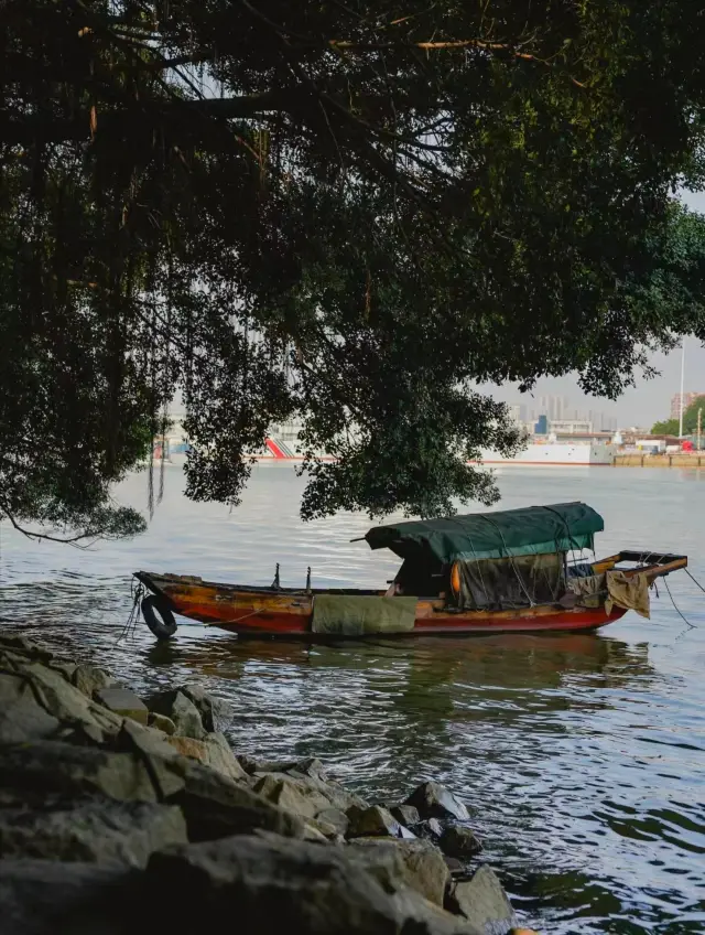 Guangzhou, Lingnan culture, a treasure trove!