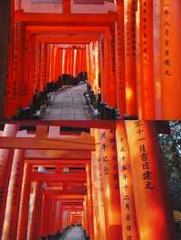 日本京都｜寺廟與神社並存的人文大城