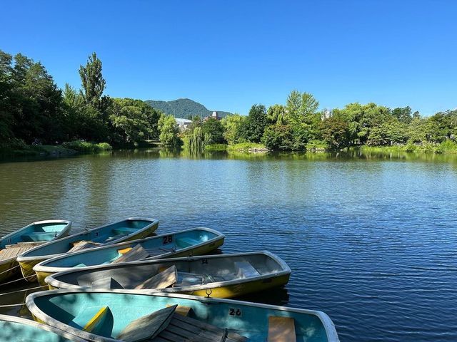 【中島公園】札幌的四季畫卷