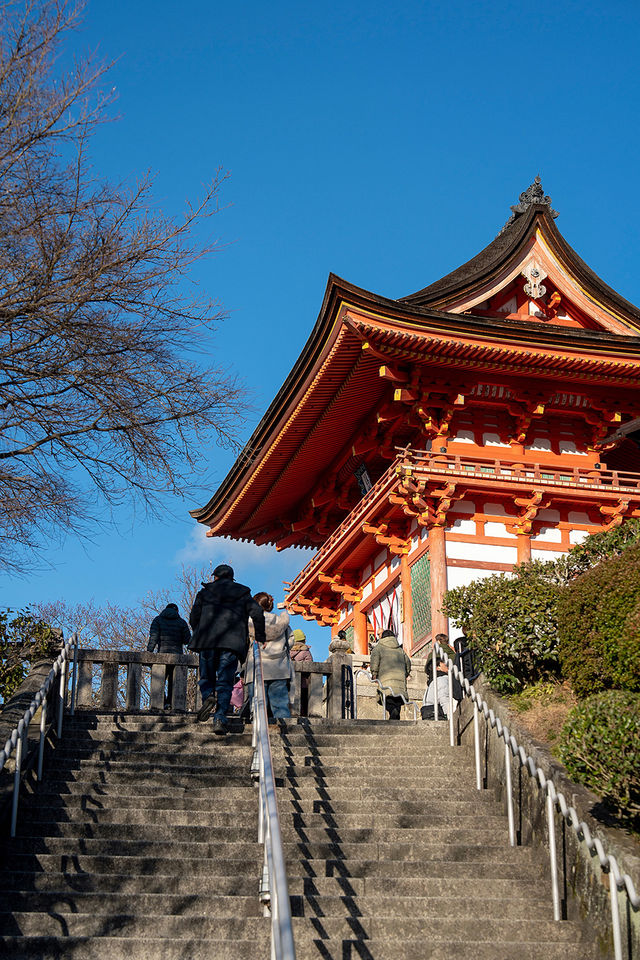 京都旅行必打卡，人氣爆棚的千年古剎