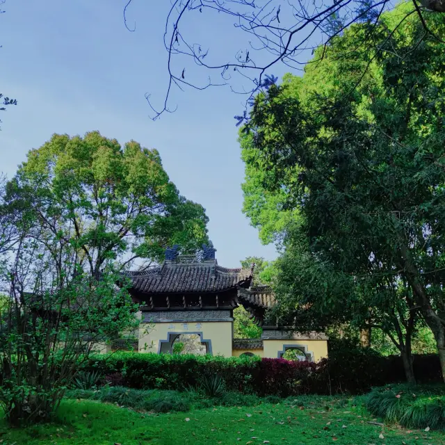 Shaoxing, the Hometown of Xishi | Experience the world's hustle and bustle from a different place