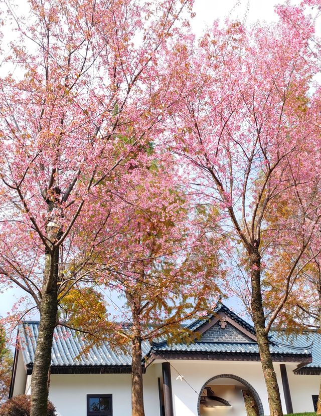 雲南彌勒錦屏山風景區五彩池