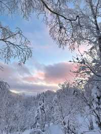 這裡不是挪威芬蘭！這裡是東北雪谷霧凇嶺！！！