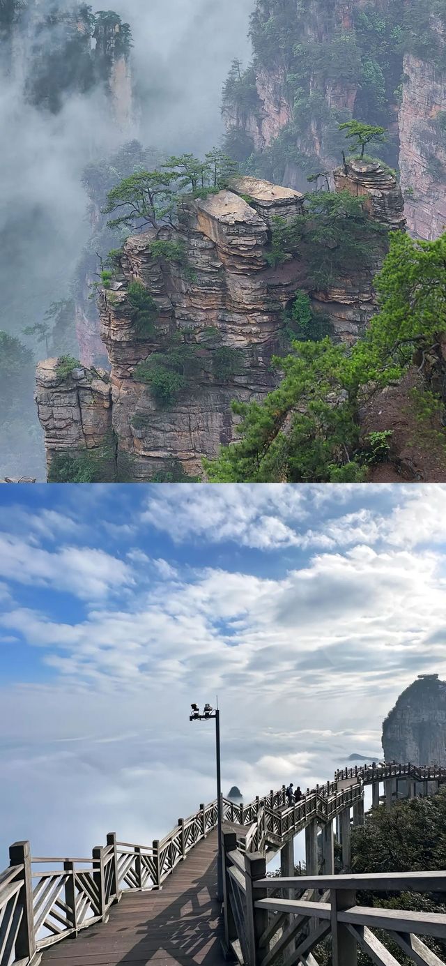 ✨【후난성 장가계 완전 종합 여행 가이드】☀️