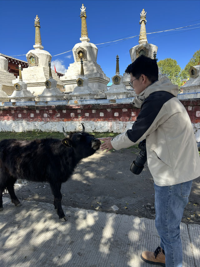 關於川西旅遊第一次去的你一定要看