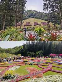 深圳版「莫奈花園」 仙湖植物園