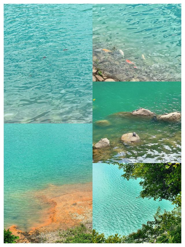 真的在珠海！！
