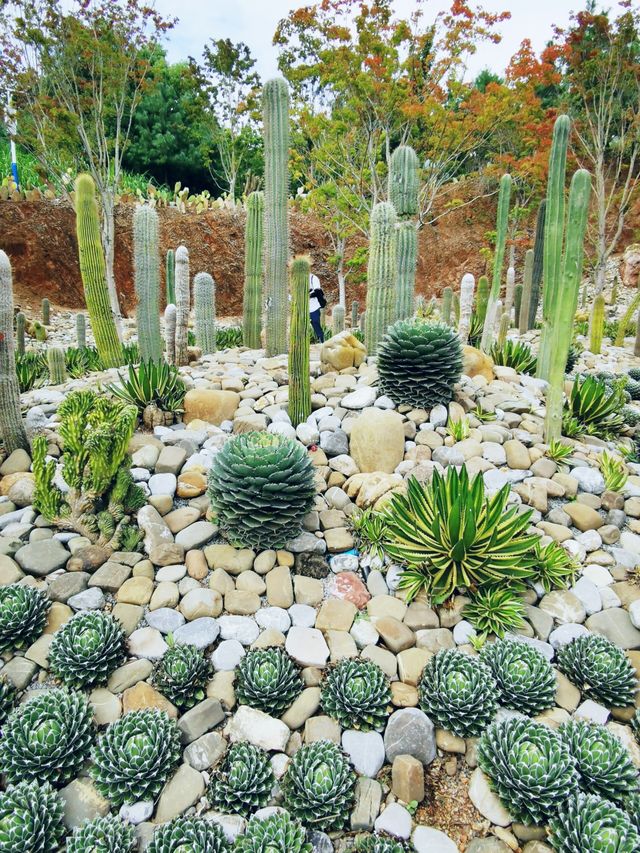 太平湖 | 石漠化公園